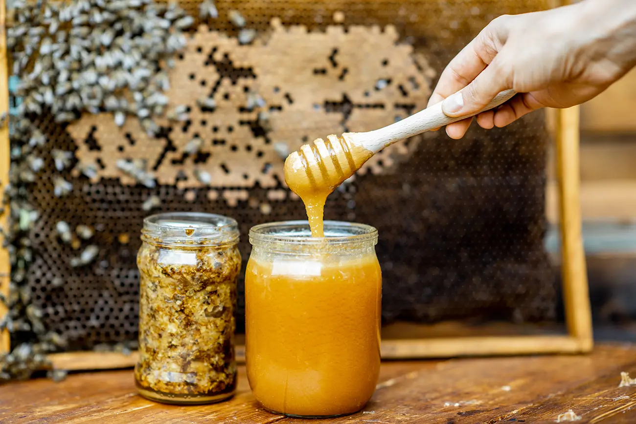 Honey Extraction